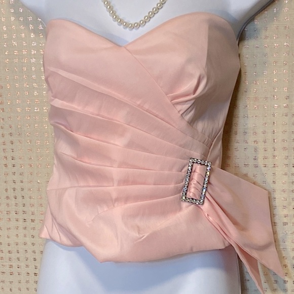NWT Veronique Young For W Pink Bustier with Side Details & Sweetheart Neckline - Picture 8 of 8